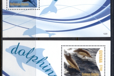 Guyana-2012-Marine-Life_2