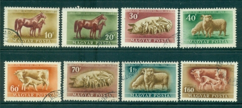 Hungary-1951-Livestock-FU-lot37572