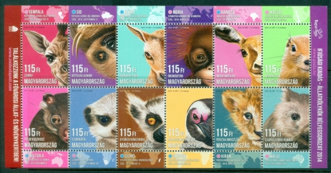 Hungary-2014-Animal-Cubs-MS-MUH