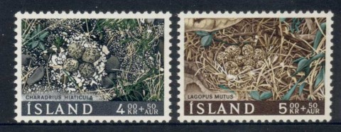 Iceland-1967-Birds-Nest-Eggs-MLH