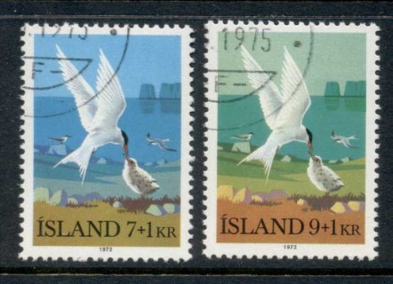 Iceland-1972-Birds-2