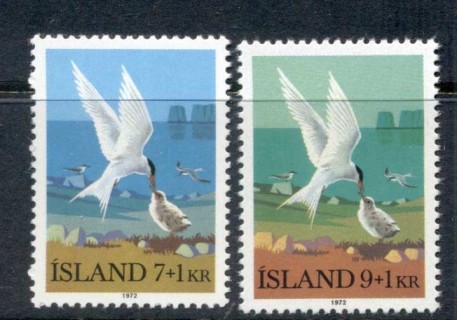 Iceland-1972-Birds