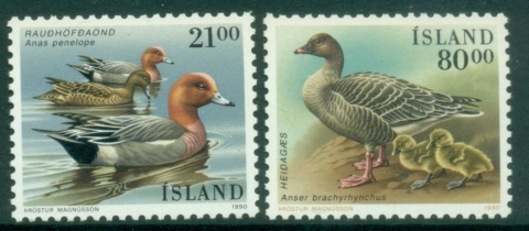 Iceland-1991-Birds-Ducks-MUH