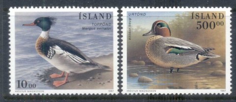 Iceland-1997-Waterbirds-MUH