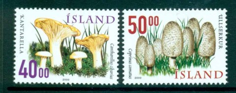 Iceland-2000-Mushroom-Funghi-MUH-lot32390