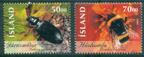 Iceland-2004-Insects-MUH-lot32538