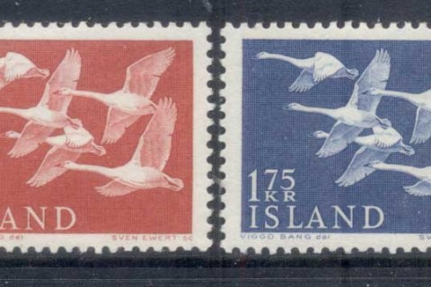 Iceland-1956-Birds