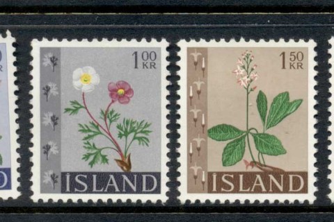 Iceland-1964-Flowers-MLH