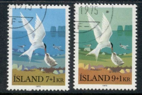 Iceland-1972-Birds-2