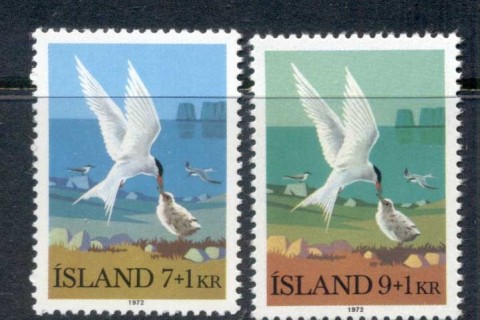 Iceland-1972-Birds
