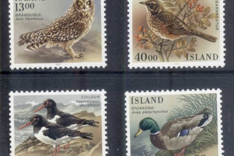 Iceland-1987-Birds-MUH