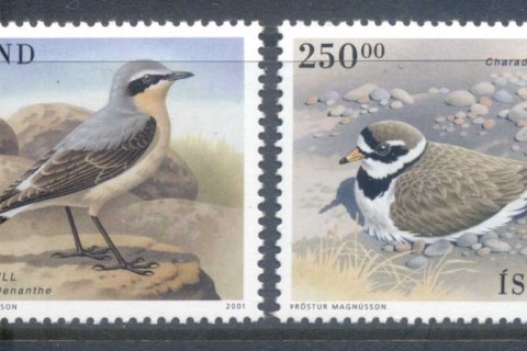 Iceland-2001-Birds-MUH