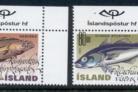 Iceland-2001-Marine-Life-Fish-MUH