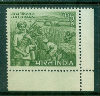 India-1967-Grain-Harvest-MLH