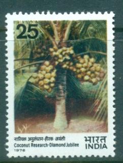 India-1976-Hybrid-Coconut-Palm-MUH