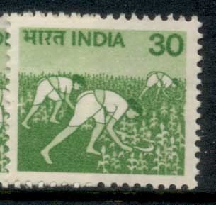 India-1979-85-Women-in-Rice-Field-30p-MUH