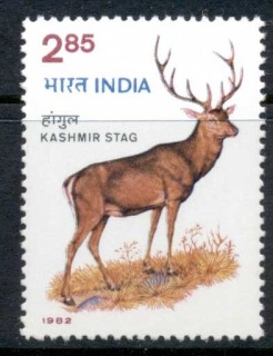 India-1982-Kashmir-Stag-MUH