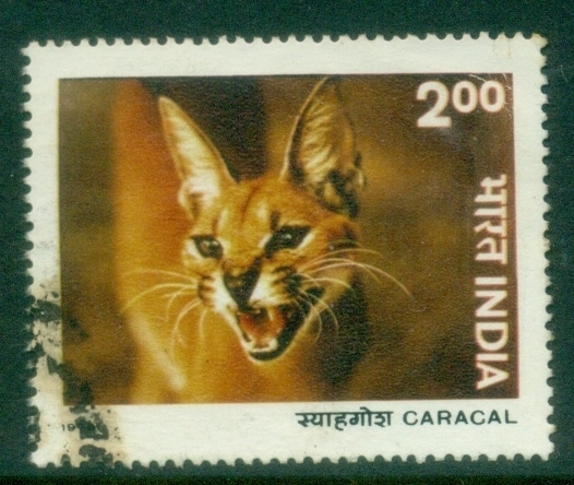 India-1976-Indian-Wildlife-2r-Caracal-caracal-FU