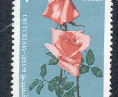 India-1984-Flowers