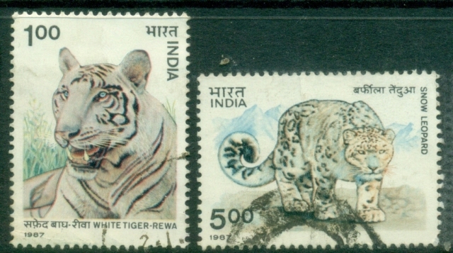 India-1987-Wildlife-Tiger-Panther-FU