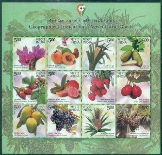 India-2023-Agricultural-Goods-MS-MUH-XL-Shipping