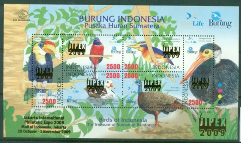 Indonesia-2009-Birds-Jipex-Opt-MS-MUH