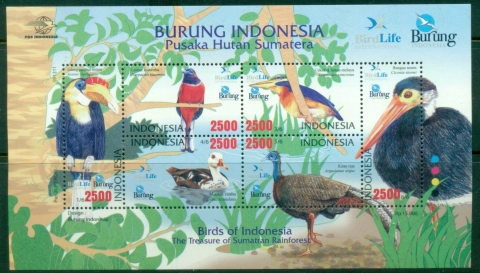 Indonesia-2009-Birds-of-the-Sumatran-Rainforest-MS-MUH