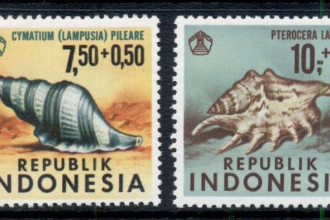 Indonesia-1969-Social-day-Shells-MLH