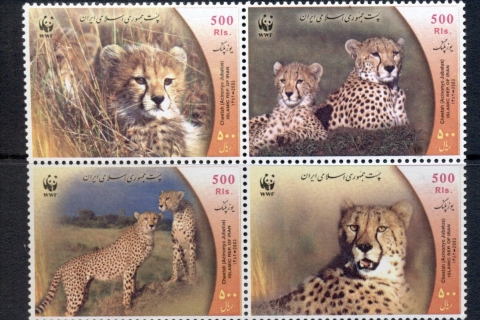 Iran-2003-WWF-Cheetah-MUH