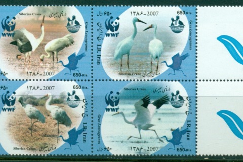 Iran-2007-WWF-Siberian-Crane-MUH