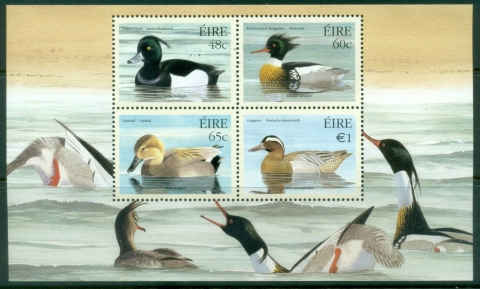Ireland-2004-Water-Birds-Ducks-MS-Muh