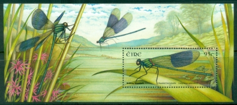 Ireland-2009-Insects-Dragonflies-MS-MUH