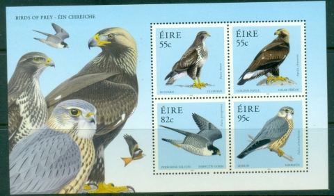 Ireland-2010-Birds-of-Prey-MS-MUH