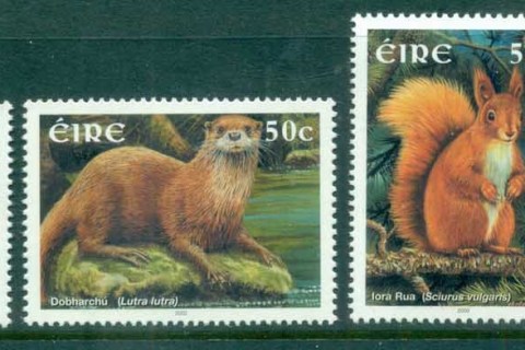Ireland-2002-Wildlife
