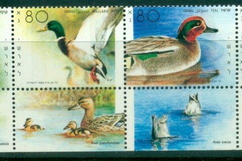 Israel-1989-Water-Birds