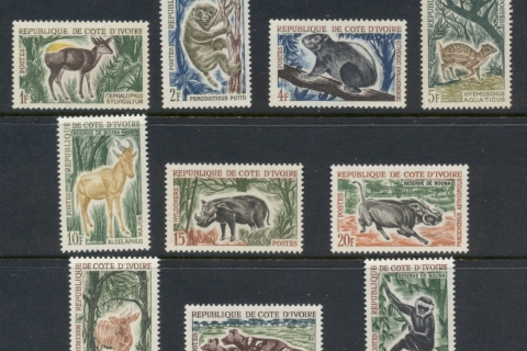 Ivory Coast 1963064 Wildlife