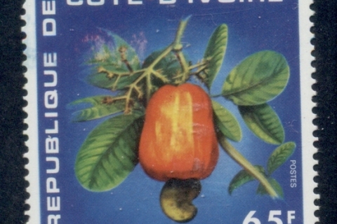Ivory Coast 1976 Cashew Nuts
