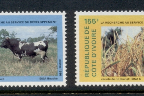 Ivory Coast 1986 Research & Development