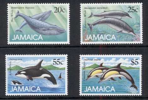 Jamaica-1988-Marine-Mammals