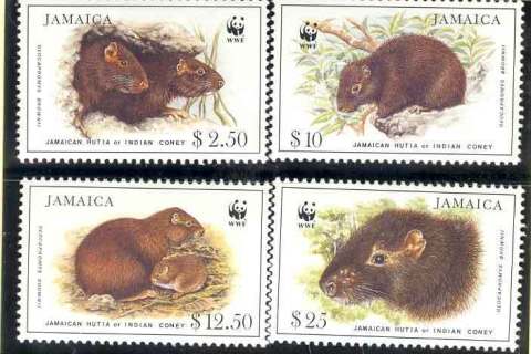 Jamaica-1996 WWF Hutia