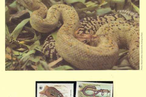 Jamaica-1984 WWF Jamaican Boa
