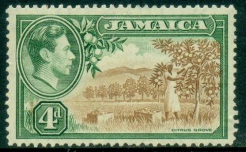 Jamaica-1938-51-KGVI-Pictorial-4d-Citrus-Grove-MLH