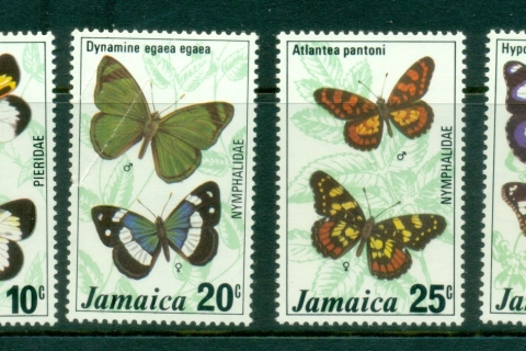 Jamaica-1975-Insects