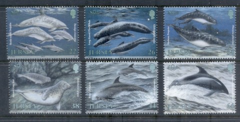 Jersey-2000-Marine-Mammals