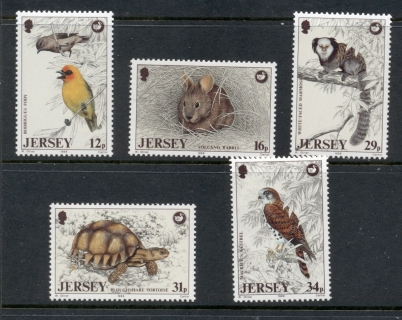 Jersey-1988-Wildlife-Preservation-Trust-MUH