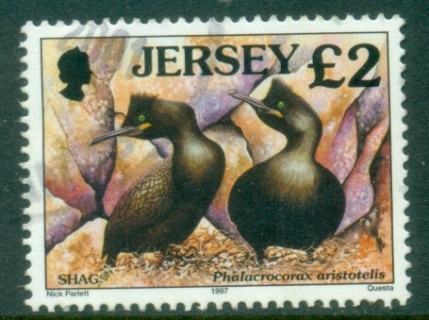 Jersey-1997-Birds-Shag-2-FU