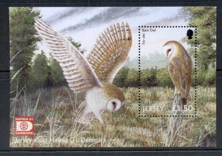 Jersey-2001-Barn-Owl