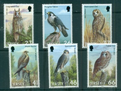 Jersey-2001-Birds-of-Prey-MUH