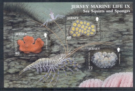 Jersey-2011-Marine-Life