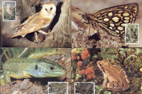 Jersey-1989 WWF Jersey Wildlife, Butterfly, Bird, Maxicards